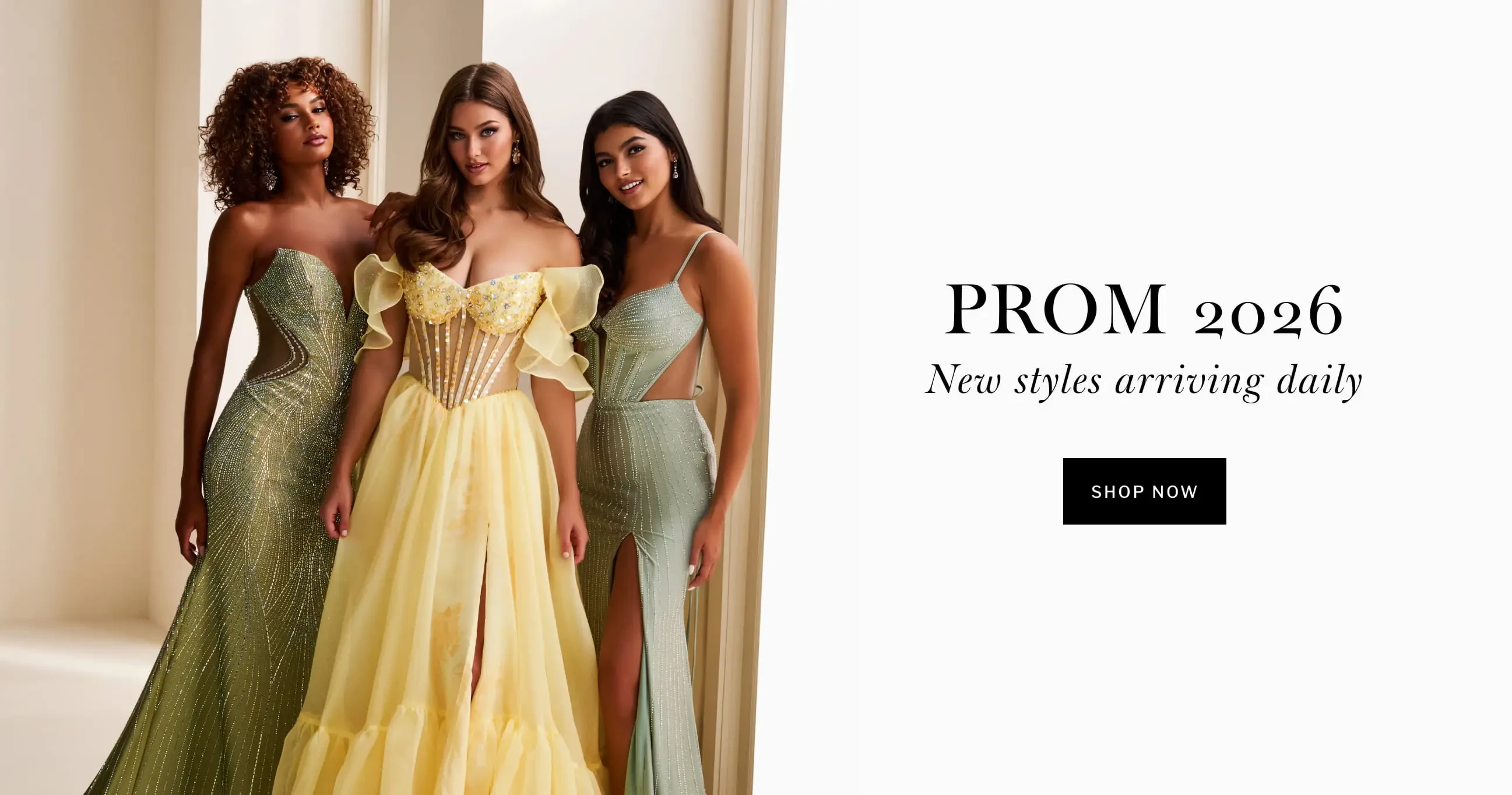 Prom 2026 banner for desktop